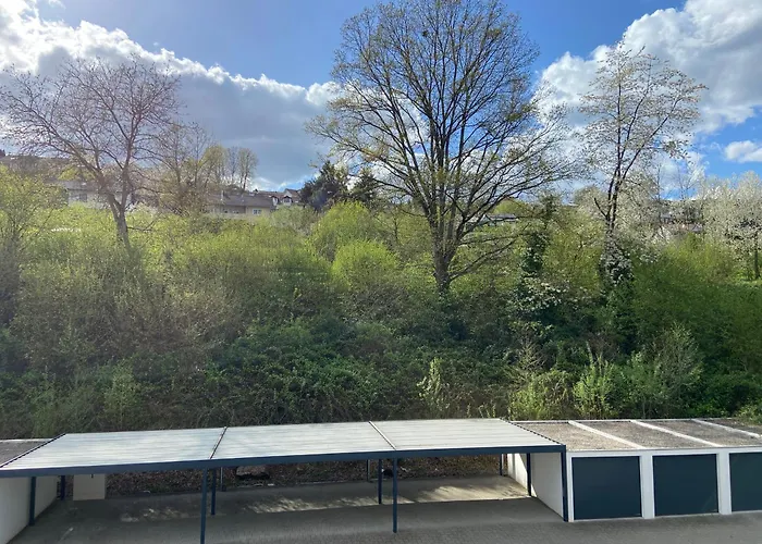 Am Erbacher Muemlingufer Апартаменты *