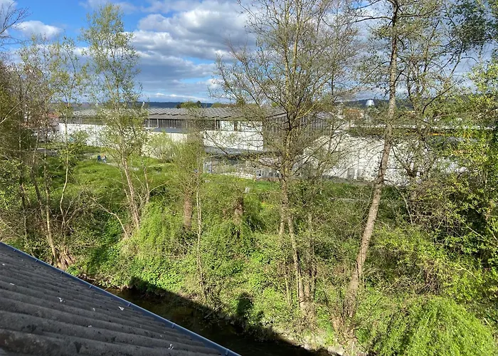 Am Erbacher Muemlingufer