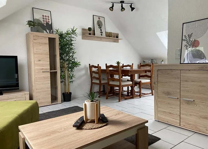 Апартаменты Am Erbacher Muemlingufer Эрбах